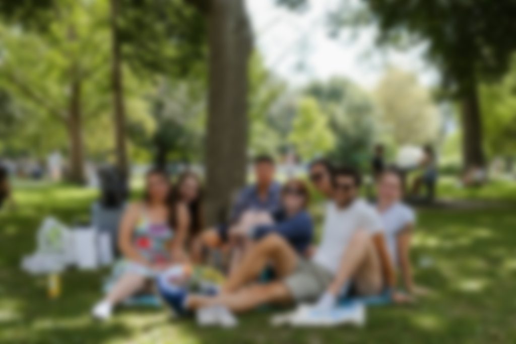 A group of young people sitting on the grass in a park. The picture is blurred so you can't see their faces.