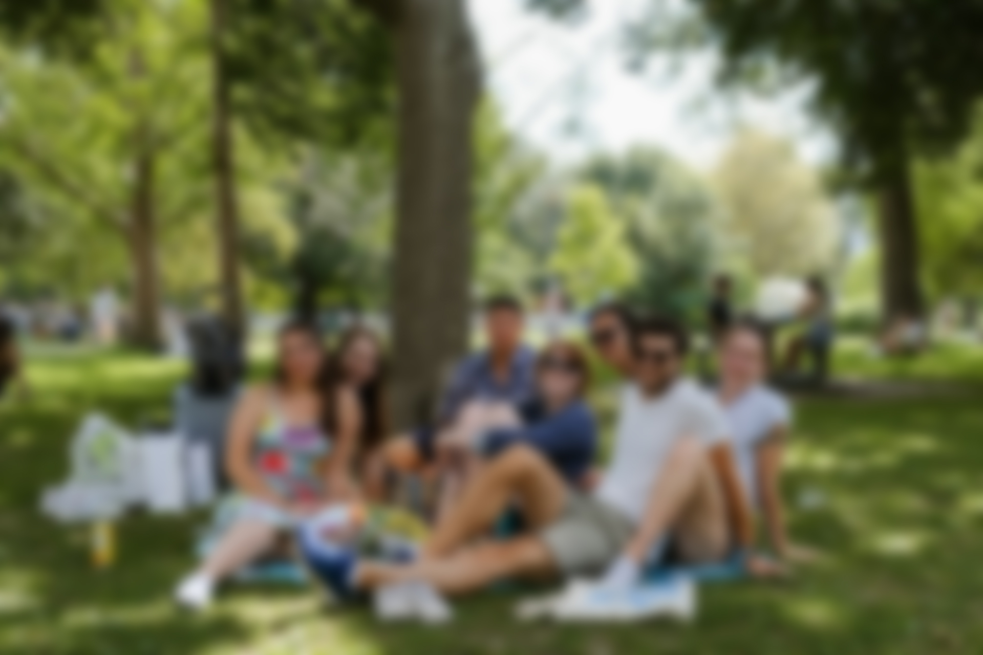 A group of young people sitting on the grass in a park. The picture is blurred so you can't see their faces.